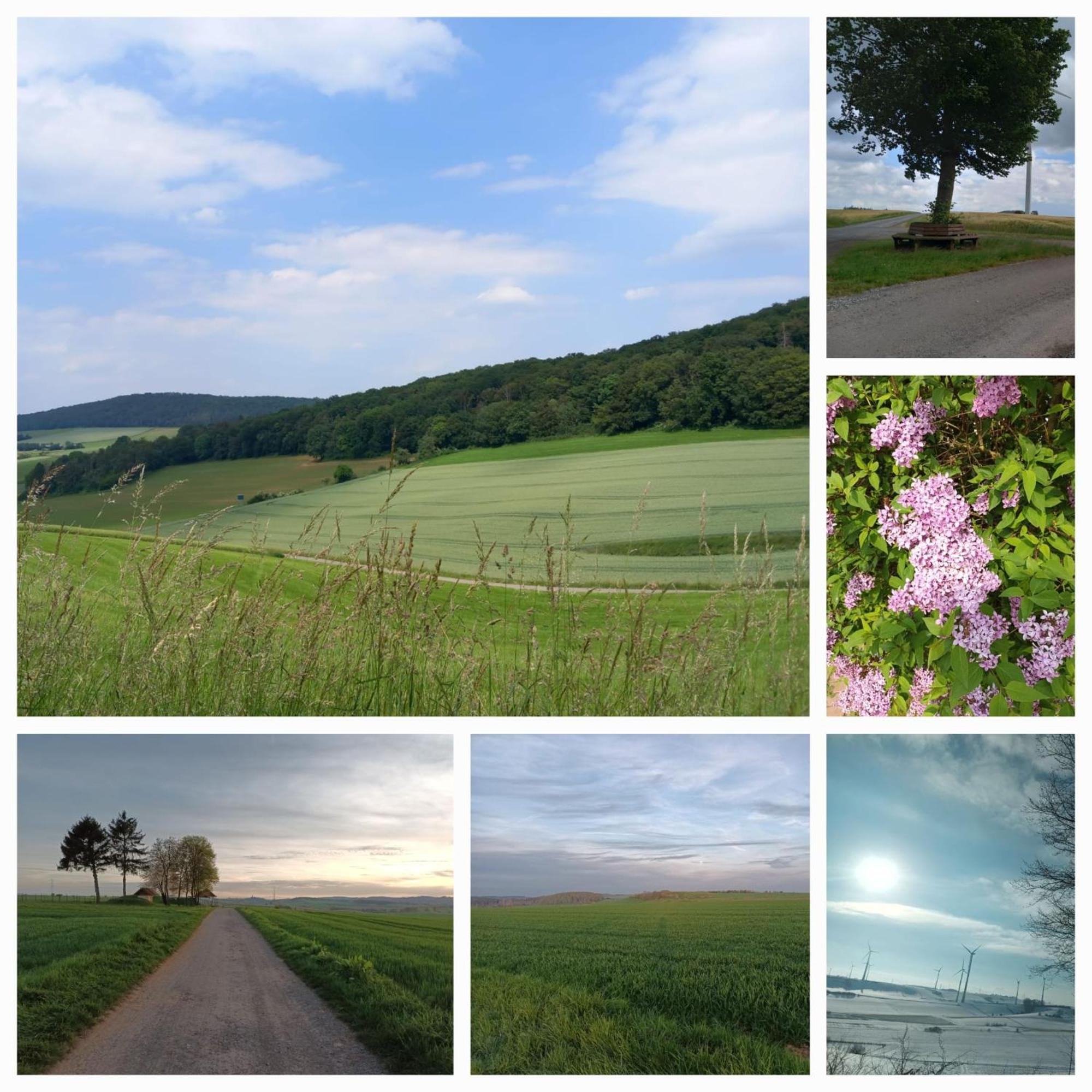 Gaestezimmer Diemelstadt Exteriér fotografie